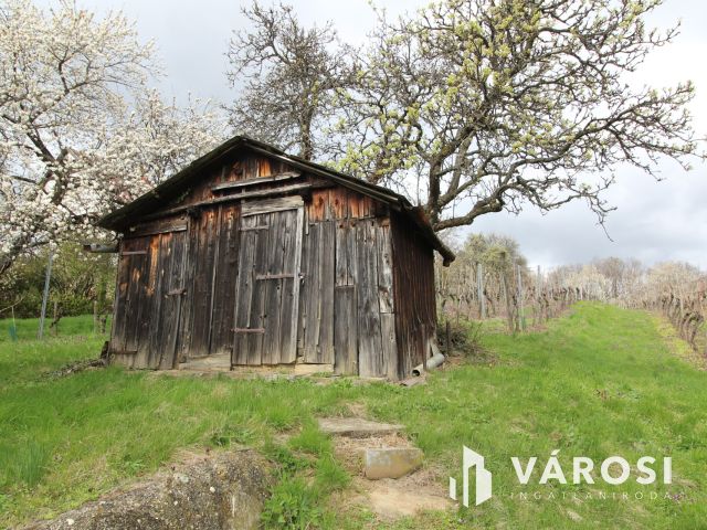 Panorámás zártkerti telek Kőszeg kedvelt Királyvölgyében