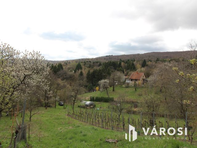 Panorámás zártkerti telek Kőszeg kedvelt Királyvölgyében